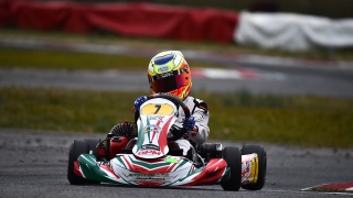 Nappi Arce 12-01 (1)