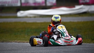 Nappi Arce 12-01 (2)