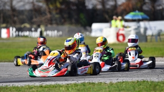Nappi C - Coppa dei Campioni (3)