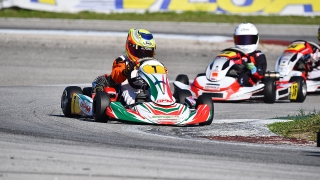 Nappi C - Coppa dei Campioni (4)