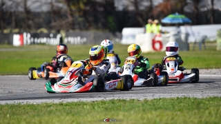 Nappi C - Coppa dei Campioni (3)