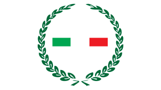 TEAM NITTO