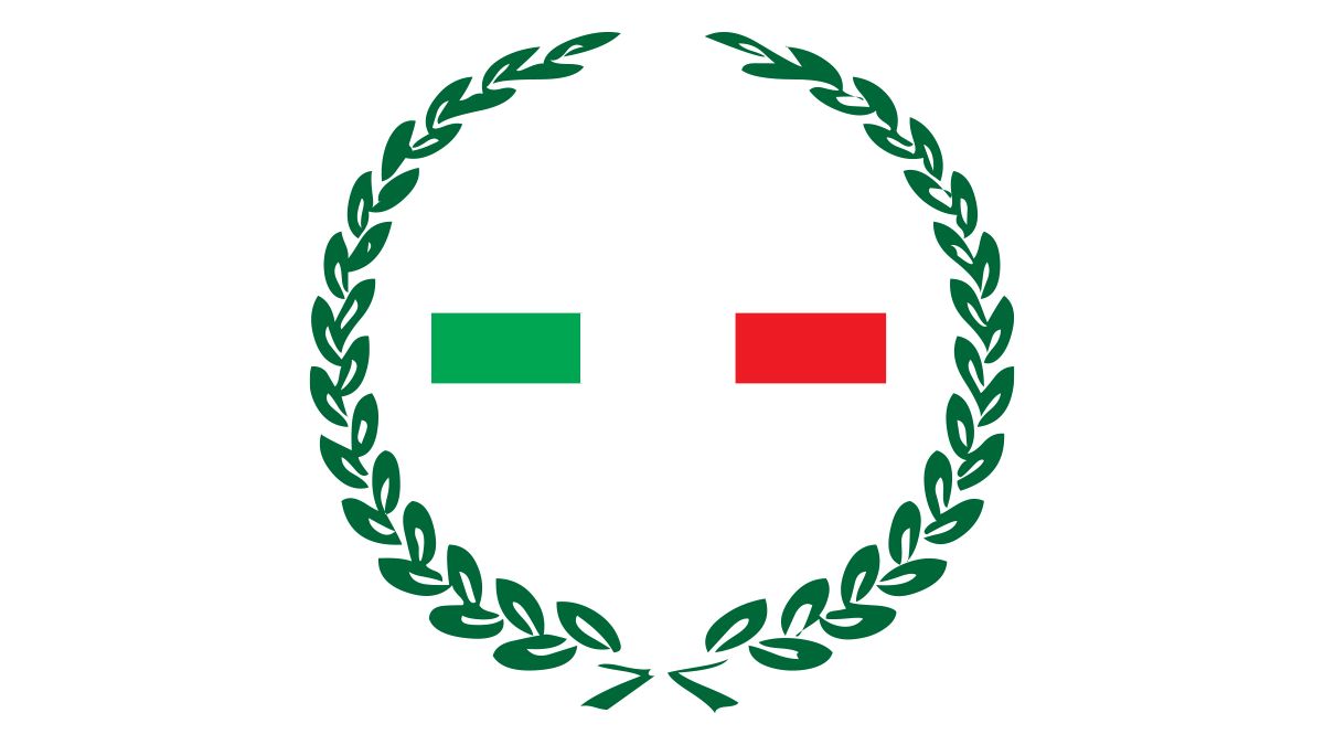 TEAM NITTO