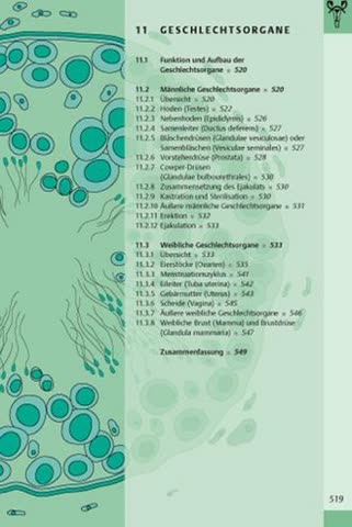 Der Körper des Menschen. Einführung in Bau und Funktion (Thieme Flexible Taschenbücher)