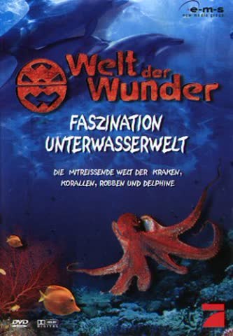 Welt der Wunder: Unterwasserwelt