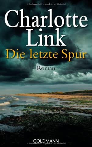 Die letzte Spur: Roman