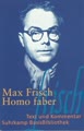 Homo faber: Ein Bericht