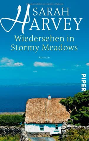 Wiedersehen in Stormy Meadows: Roman