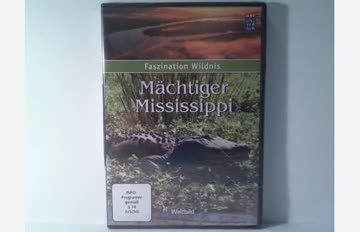 Mächtiger Mississippi