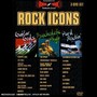 Rock Icons - Psychedelic High / Hard Rockin / Guitar Gods [UK IMPORT]