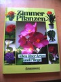 Zimmerpflanzen. Alles über Arten und Pflege