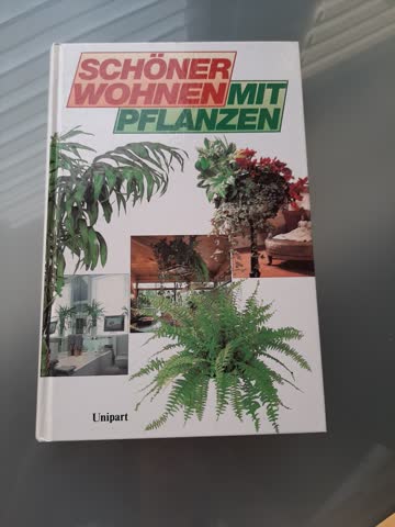 Schöner wohnen mit Pflanzen