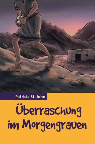 Überraschung im Morgengrauen und andere Geschichten