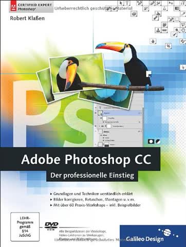 Adobe Photoshop CC: Der professionelle Einstieg, auch für CS6 geeignet (Galileo Design)