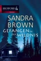 Gefangen in der Wildnis (Erin St. Claire Serie, Band 9)