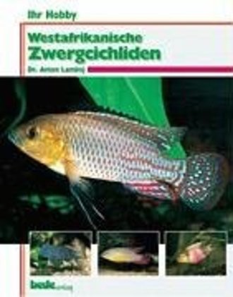 Westafrikanische Zwergcichliden, Ihr Hobby