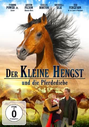 kleine Hengst und die Pferdediebe,