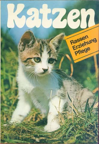 Katzen - Rassen, Erziehung, Pflege