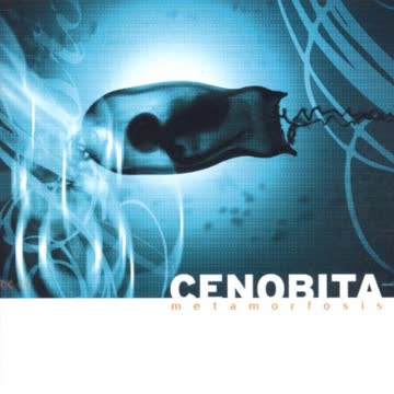 Cenobita - Metamorfosis