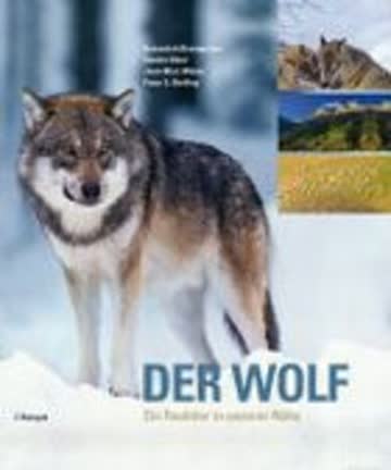 Der Wolf: Ein Raubtier in unserer Nähe