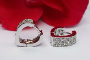 Exsila Artikel: Ohrringe Ohrstecker Creolen Zirkonia Weissgold PL Schmuck, GA97W x