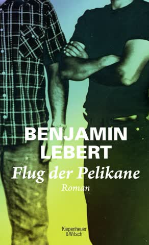 Flug Der Pelikane