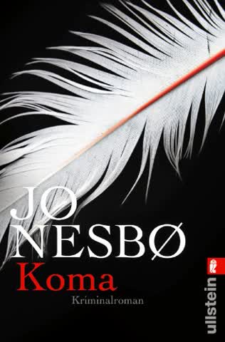 Koma (Ein Harry-Hole-Krimi, Band 10)