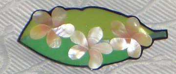 Haarclip australische Flora "Frangipani" F18, hergestellt mit natürlichen Materialien *NEU