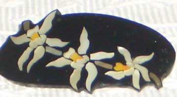 Exsila Artikel: Haarclip australische Flora "Orchid Coelogyne" F22, hergestellt mit natürlichen Materialien *NEU