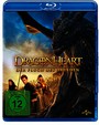 Dragonheart 3 - Der Fluch des Druiden [Blu-ray]