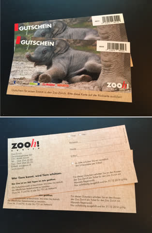 Zoo Zürich: Gutschein für Eintritt im Wert von CHF 26.-