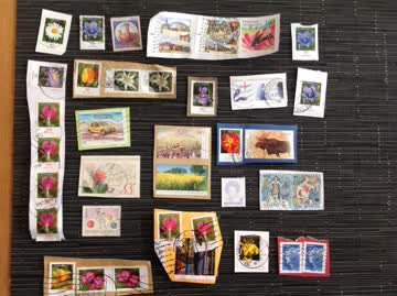 Exsila Artikel: Briefmarken, diverse Ausland, gestempelt, ungewaschen