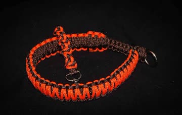Exsila Artikel: Gutschein für ein Paracord Hunde Halsband das sie selber zusammen stellen können 
