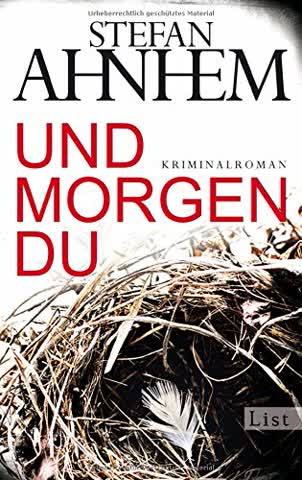Und morgen du: Kriminalroman (Ein Fabian-Risk-Krimi, Band 1)