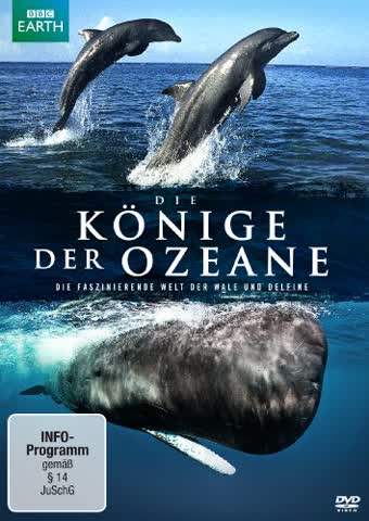 Die Könige der Ozeane (DVD)