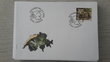 Exsila Artikel: FDC 2009 Europäische Wildkatze, Zs-Nr: 1313