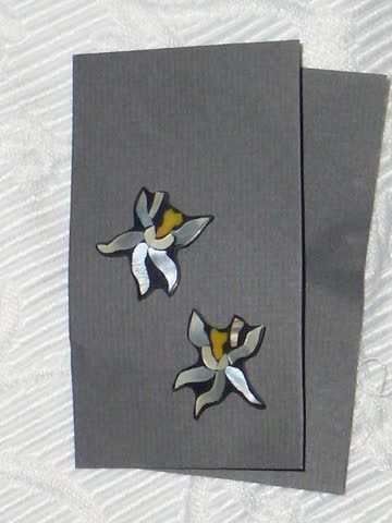 Exsila Artikel: Ohrstecker Australische Flora  Orchid hergestellt mit natürlichen Materialien NEU