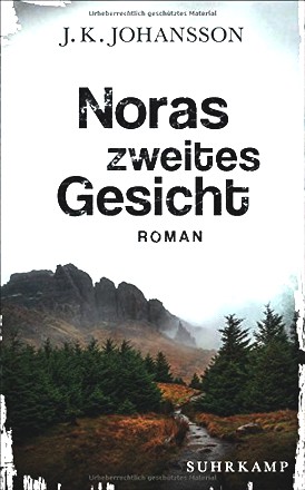 Noras zweites Gesicht: Roman (Palokaski-Trilogie)
