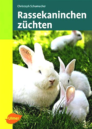 Rassekaninchen züchten