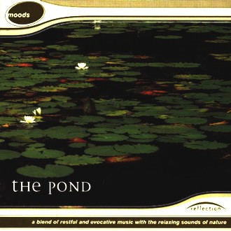 Reflection - The Pond