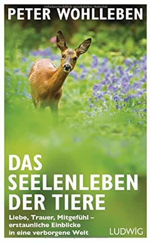 Das Seelenleben der Tiere: Liebe, Trauer, Mitgefühl - erstaunliche Einblicke in eine verborgene Welt