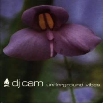 DJ Cam - Underground Vibes