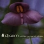 DJ Cam - Underground Vibes