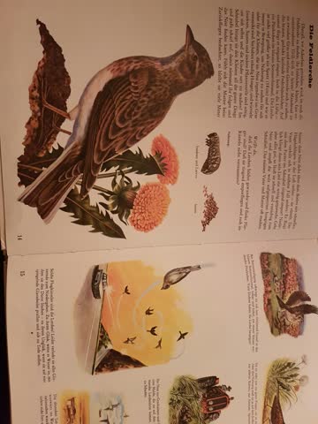 Bunter Kinder-Kosmos, Tiere in Feld und Hof