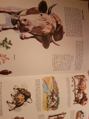 Bunter Kinder-Kosmos, Tiere in Feld und Hof