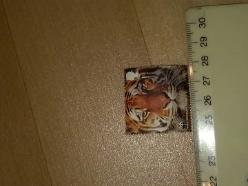 Exsila Artikel: Marke, england, tiger