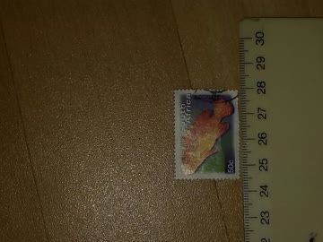 Exsila Artikel: Marke, südafrika, oranger fisch