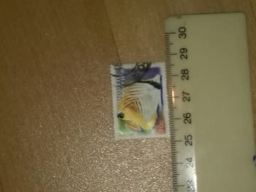 Exsila Artikel: Marke, südafrika, weissgelber fisch