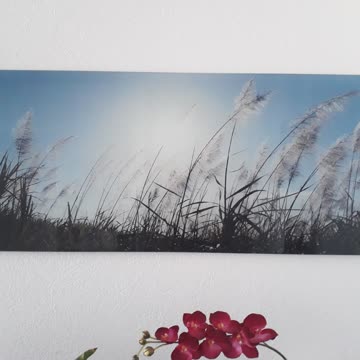 Schönes Wandbild