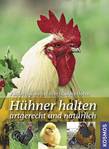Hühner halten: artgerecht und natürlich